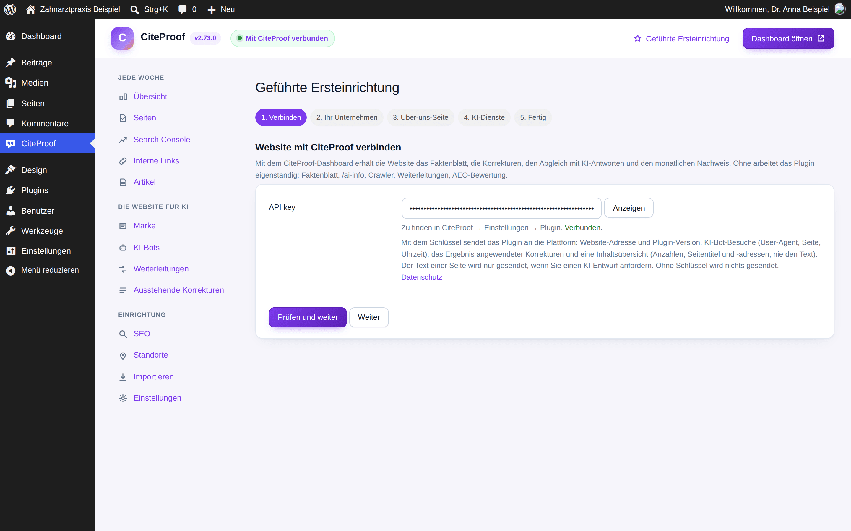 Die geführte Ersteinrichtung des Plugins: der Schritt Verbinden mit dem API-Schlüssel